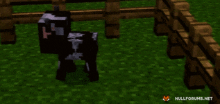 200.gif