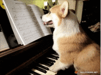 200.gif