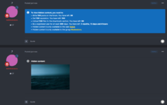 hiddencontent.PNG.06c6da21b5369c3451179c87404f73c2.png