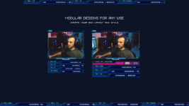 Nova_Pixel_Art_InGame_Webcam_SupportBars.png