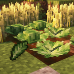 01K31EE9X5TCR62WQ005DPKQYQ.png