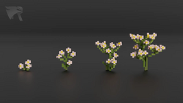 image_4.png