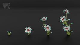 image_2.png
