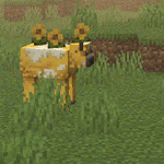 01JZC5A33TFFVKG09XC3M3A2TT.gif