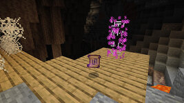 image_6.jpg