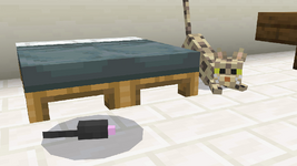 1000596748.png