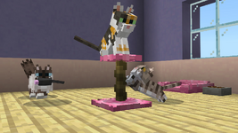 1000596743.png