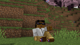1000597150.png