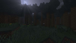 1000597264.png