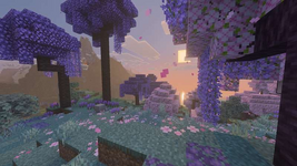 1000597258.png