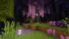 1000597261.png