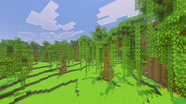 1000597297.png