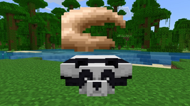 1000598938.png