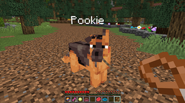 1000599210.png