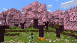 1000599477.png