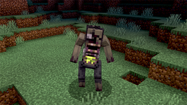 1000599518.png