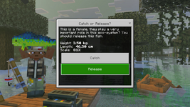 1000599635.png