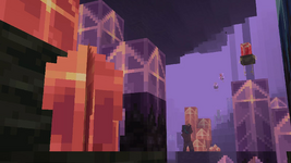 1000599729.png