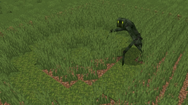 1000599912.png