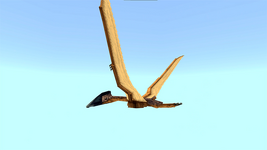 1000600140.png
