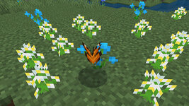 ButterfliesMoths_screenshot_1.jpg
