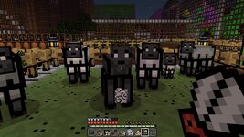 Screenshot_3.jpg
