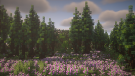 2025-07-25_20.58.39.png