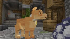 Screenshot_2.jpg