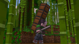 Backpacks_screenshot_1.jpg