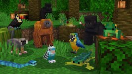AnimalPack500Plus_screenshot_3.jpg