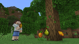 FE_screenshot_2.jpg