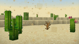 RPAO_Screenshot_2.jpg