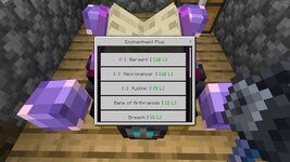 enchantments_p_screenshot_2.jpg