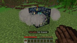 CarryMoreAdd-On_screenshot_2.jpg