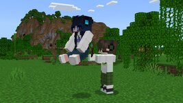 CarryMoreAdd-On_screenshot_3.jpg