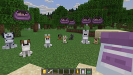 ManyDogs_Screenshot_1.jpg