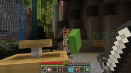 Shields_screenshot_3.jpg
