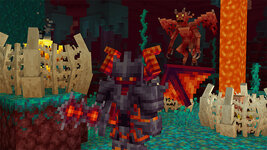 PlayerEvolve_Screenshot_3.jpg