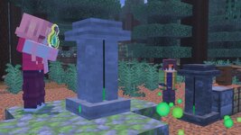 SurvivalAddOn_screenshot_0.jpg