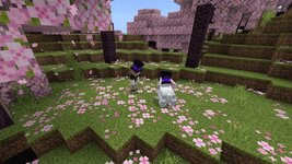 WizardingWonders_screenshot_0.jpg