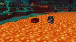 Pet_Blocks_screenshot_2.jpg