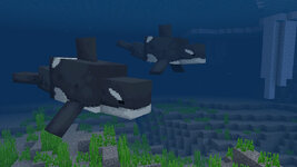 AquaticLife_screenshot_0.jpg