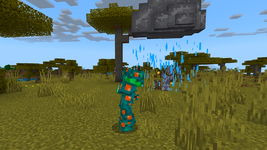 1000641635.png