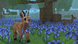 wc_screenshot_1.jpg
