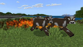 PT_screenshot_3.jpg