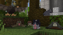 WA_screenshot_3.jpg