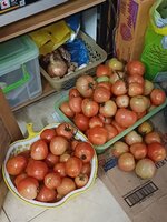 20250321_180934.jpg