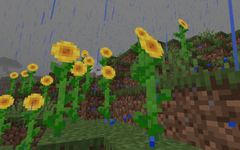 Screenshot_114.png