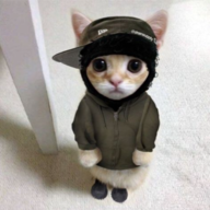 mrrdev12311