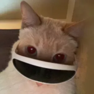 dhrub